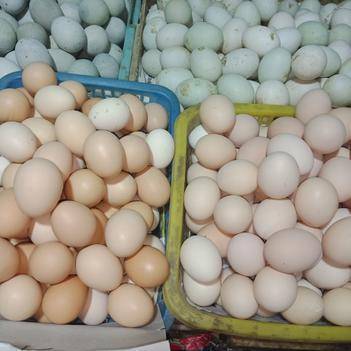 农产品批发供应商徐国忠——惠农网电脑版食用农产品批发服务