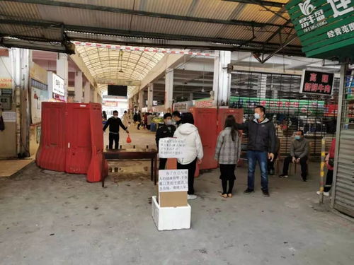 西樵镇加强农贸市场防疫管理，确保食用农产品批发安全