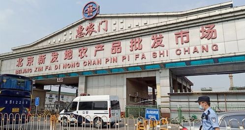 深夜发布 丰台区副区长等被免职，食用农产品批发市场监管再响警钟