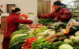 蔬菜价格连续上涨引发关注，商务部回应食用农产品市场动态