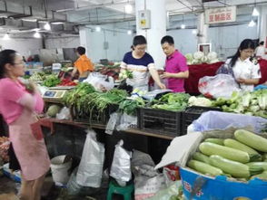 舌尖上的安全盾牌 我市全面开展食用农产品批发环节食品安全抽检