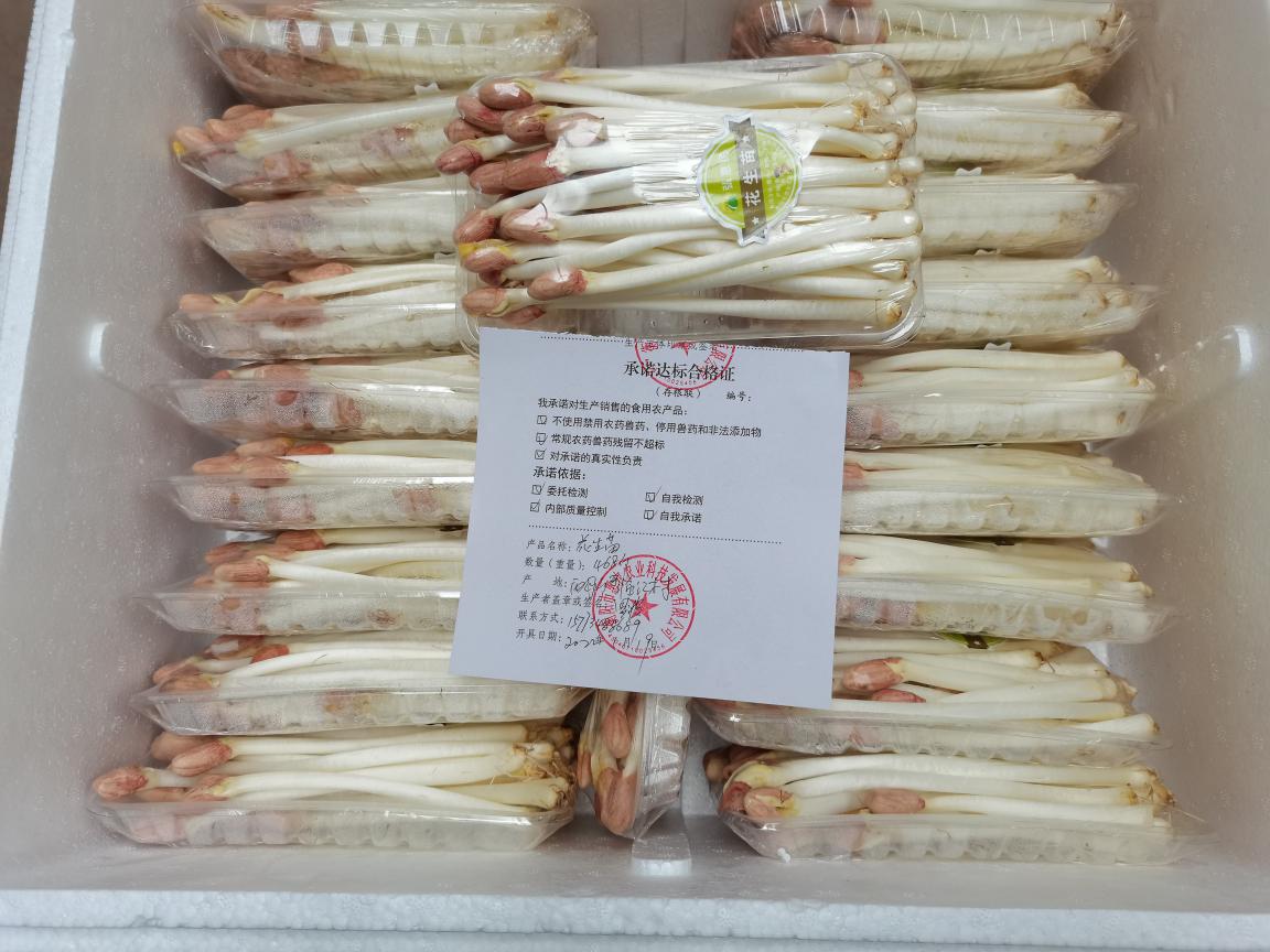 推进承诺达标合格证制度 守护“舌尖上的安全”——食用农产品批发专项行动纪实
