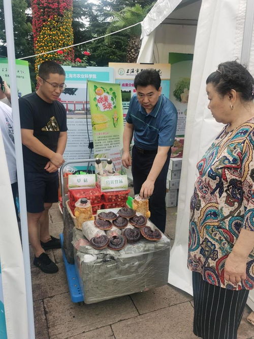 上海市农业科学院食用菌所参加上海地产优质农产品进社区活动